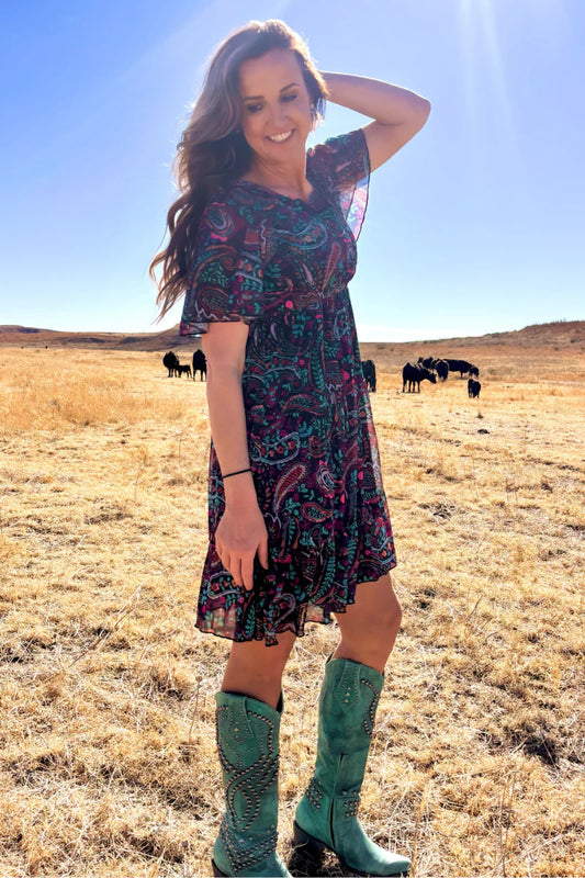 PAINTED NIGHT PAISLEY DRESS