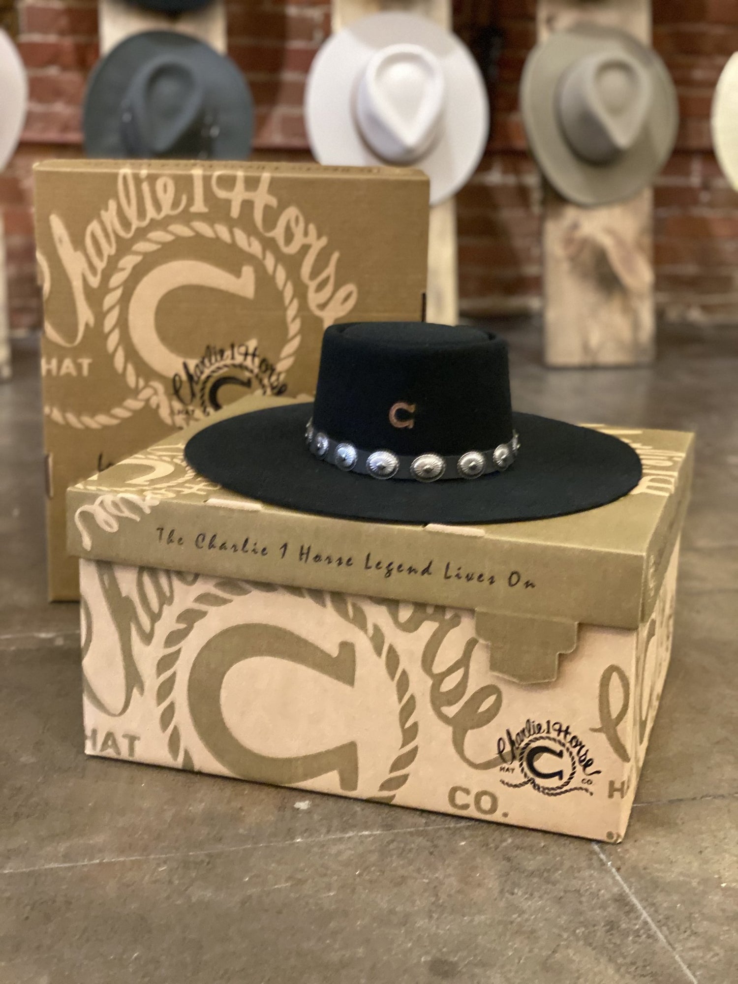 Charlie 1 Horse Hat Box