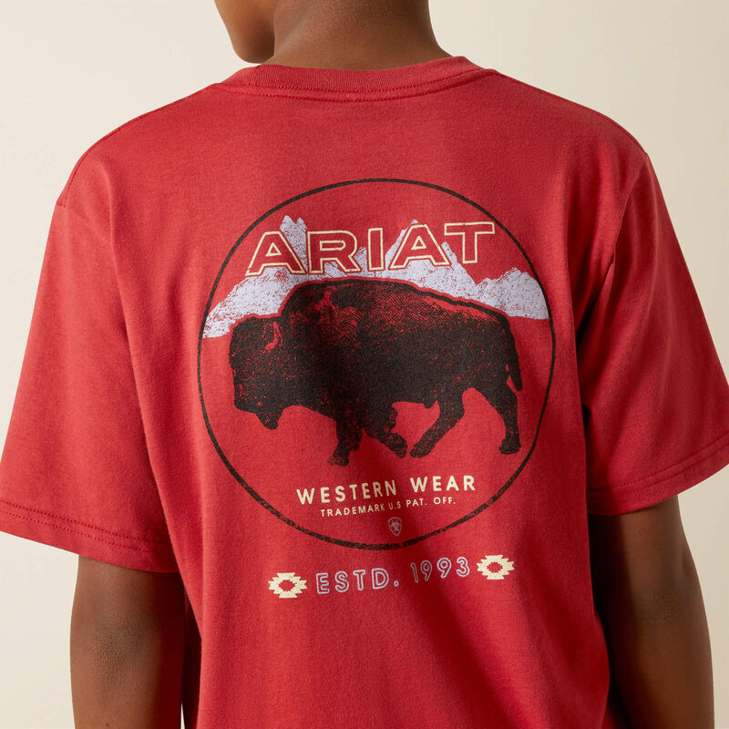 ARIAT BOYS PATRIOT BUFFALO COIN TSHIRT - BRICK RED