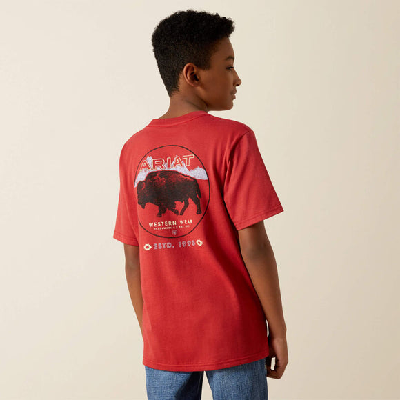 ARIAT BOYS PATRIOT BUFFALO COIN TSHIRT - BRICK RED