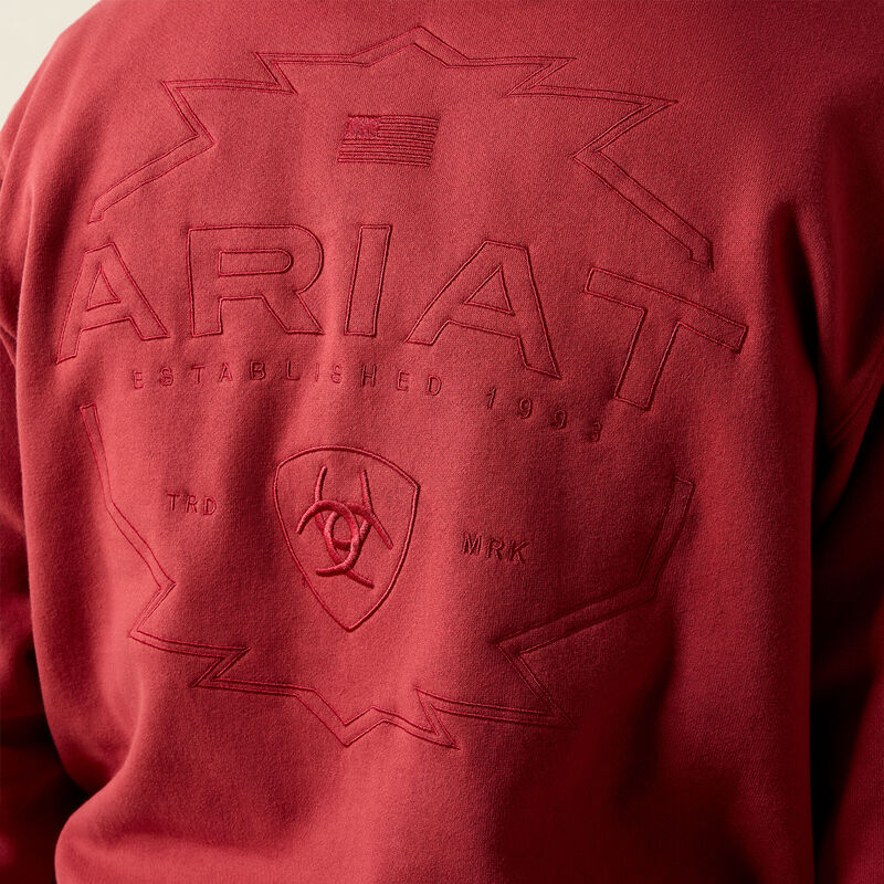 ARIAT MENS ARCHSTAR HOODIE - BRICK RED