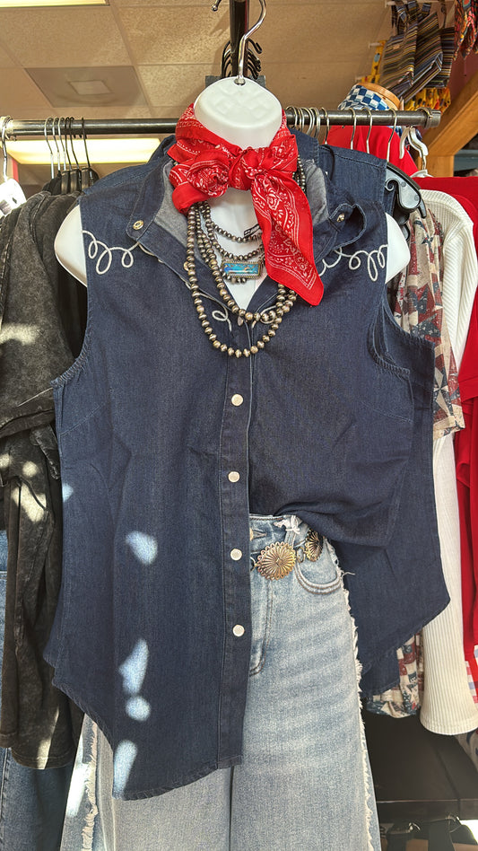 DALLAS DAYS IN DARK WASH