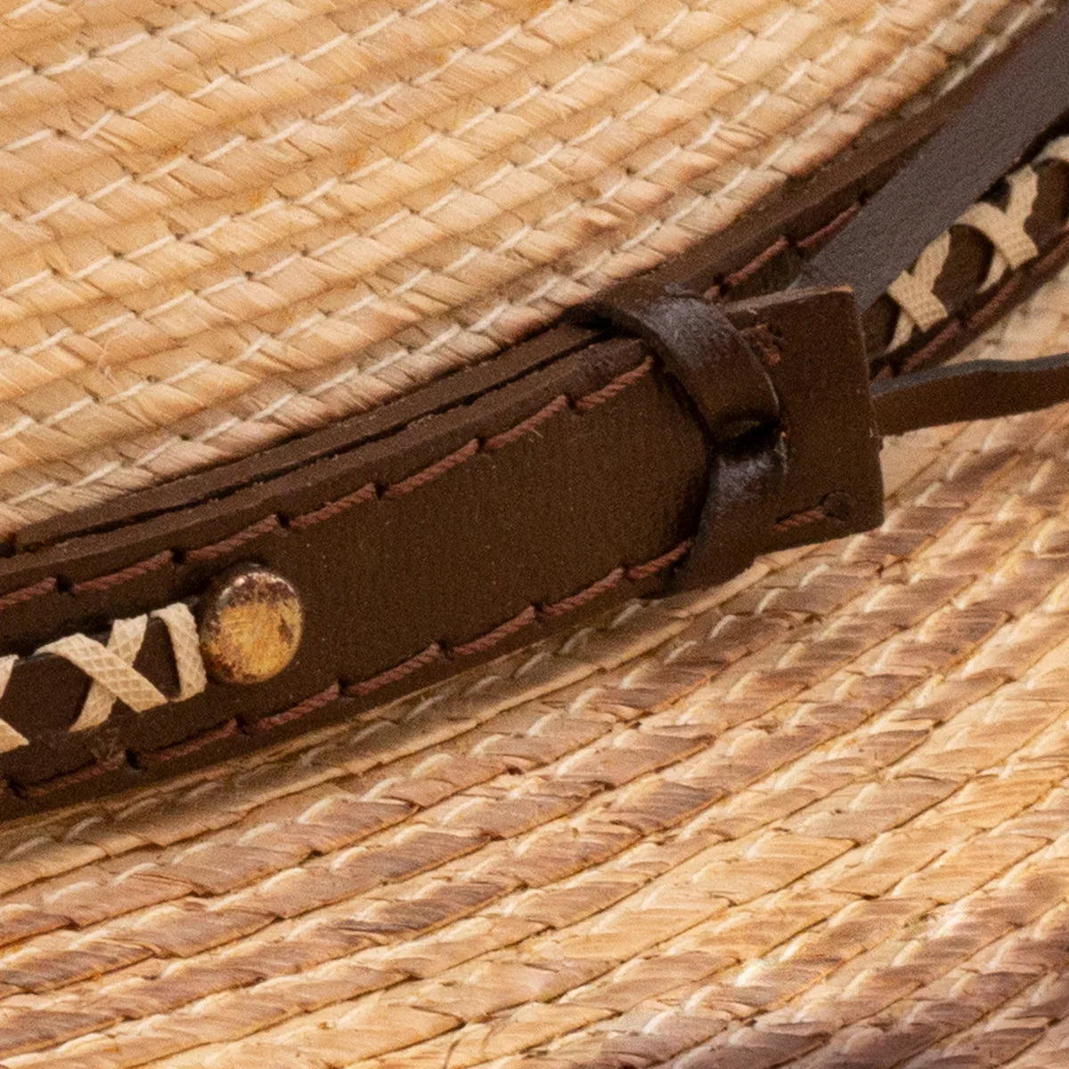 CHARLIE 1 HORSE COMANCHE B STRAW