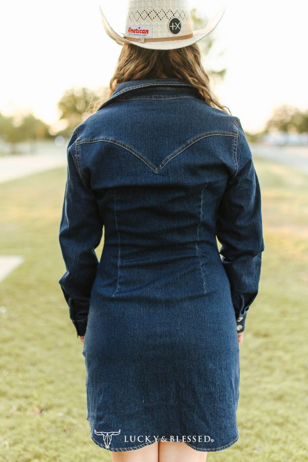 CLASSIC WESTERN BUTTON DOWN LONG SLEEVE DENIM DRESS