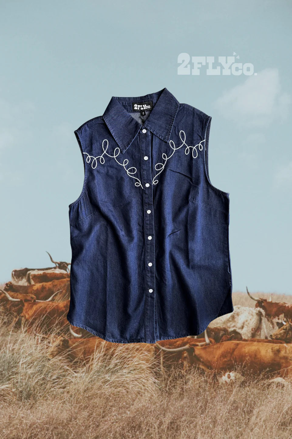 DALLAS DAYS IN DARK WASH