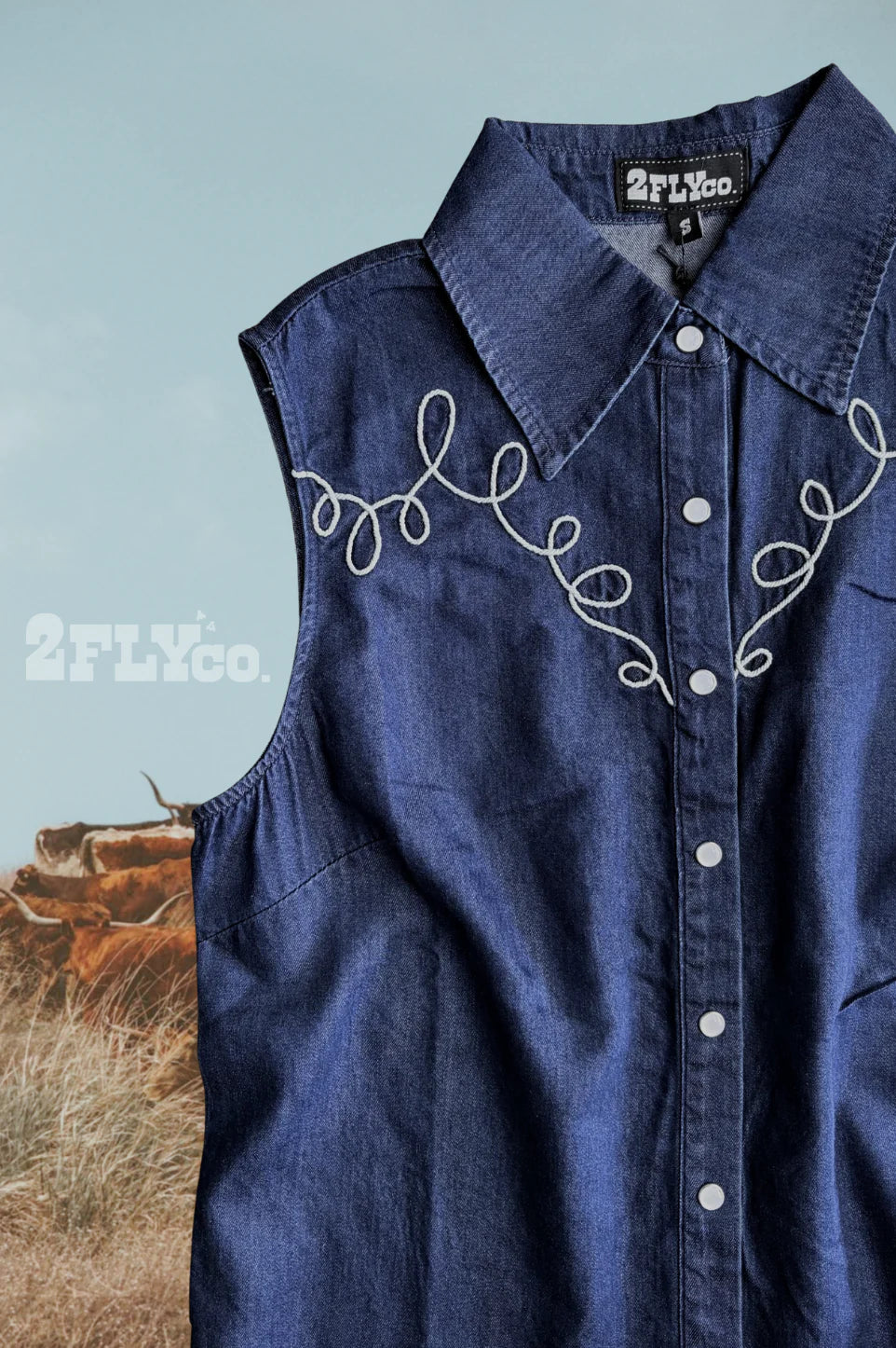DALLAS DAYS IN DARK WASH