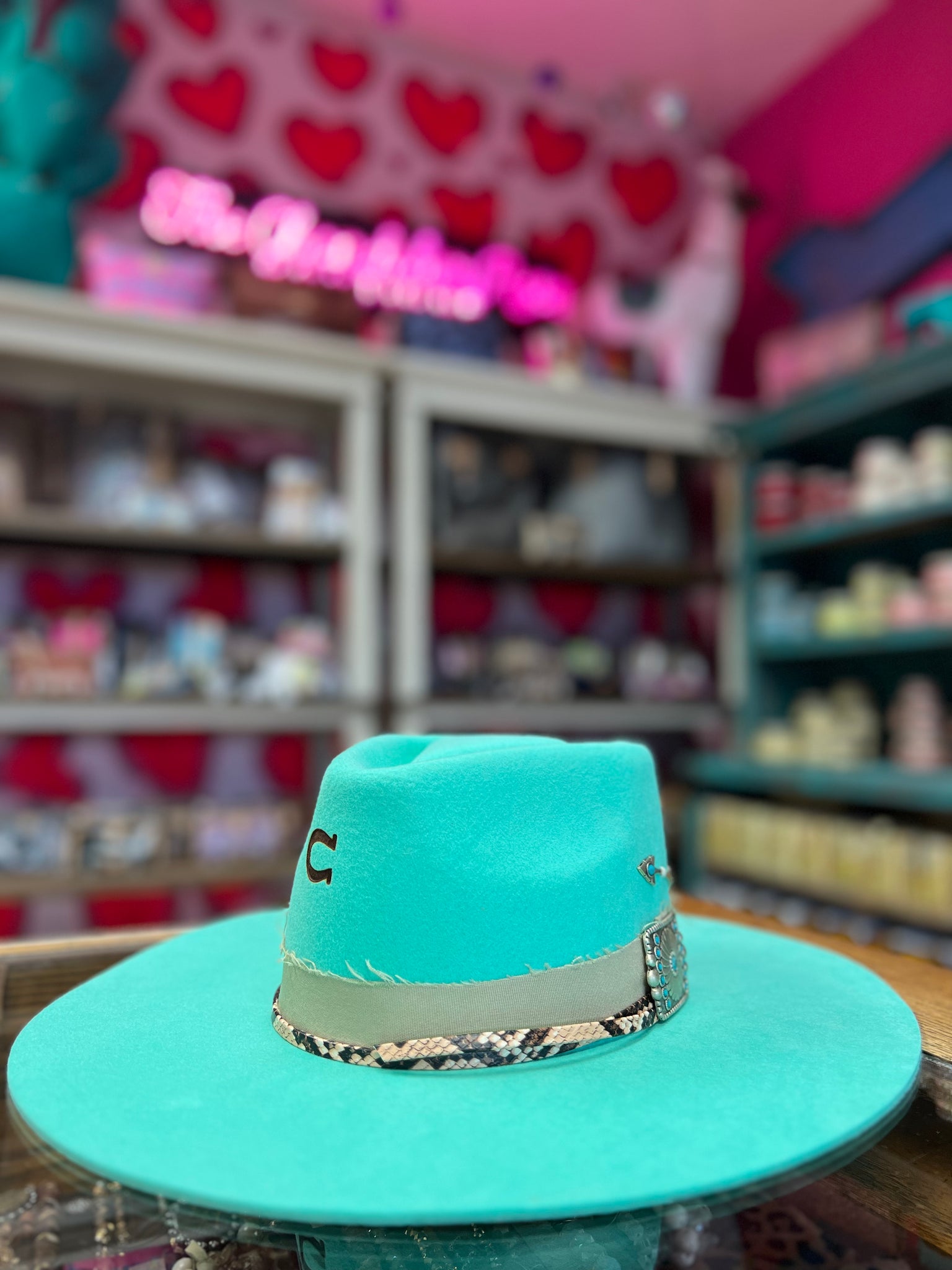 Charlie 1 horse turquoise hat sales