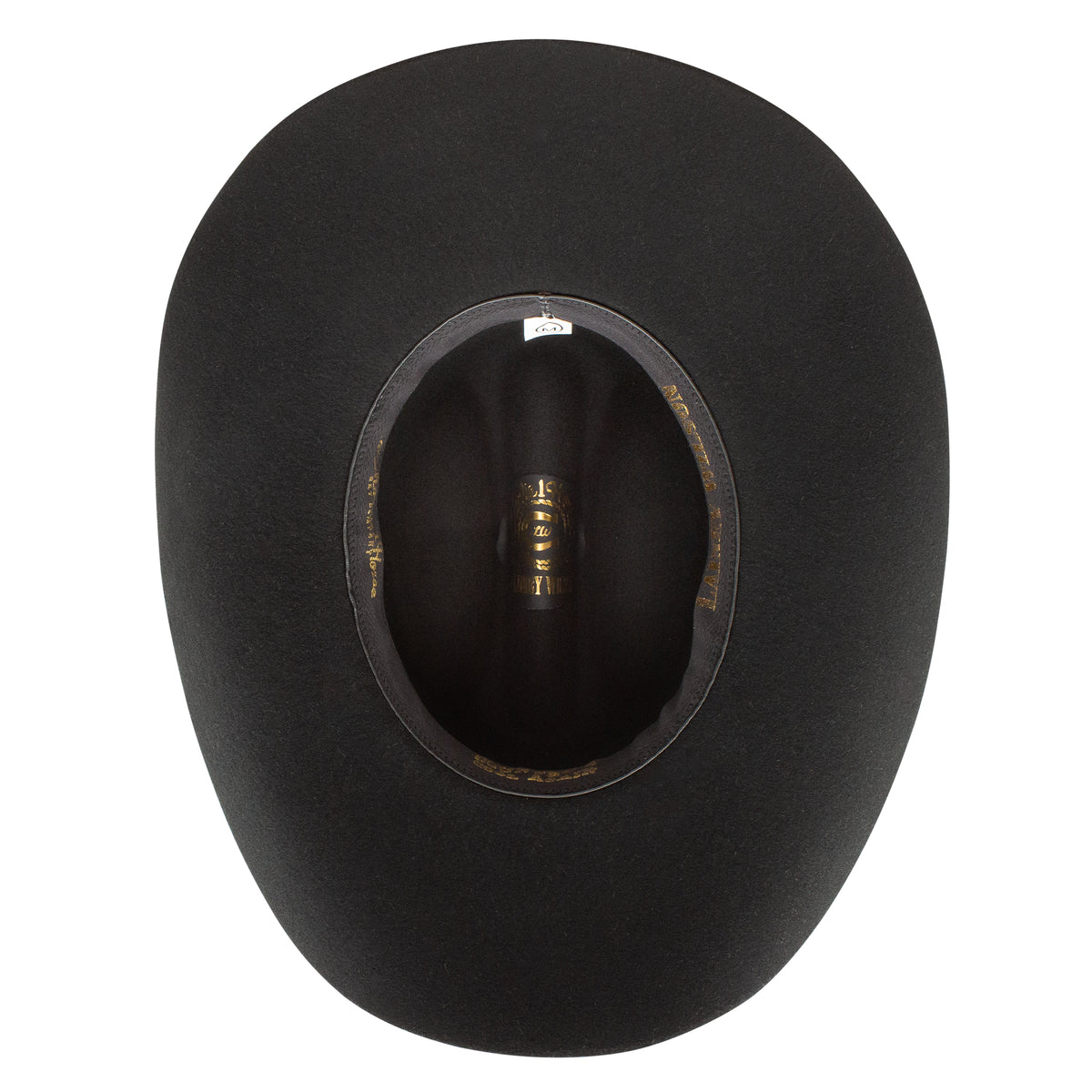 CHARLIE 1 HORSE X LAINEY WILSON DAREDEVIL FELT HAT - BLACK