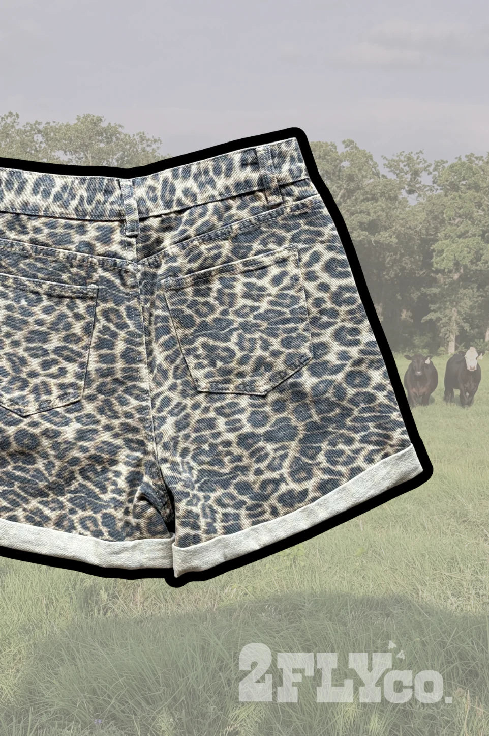 WILDCATTER SHORTS