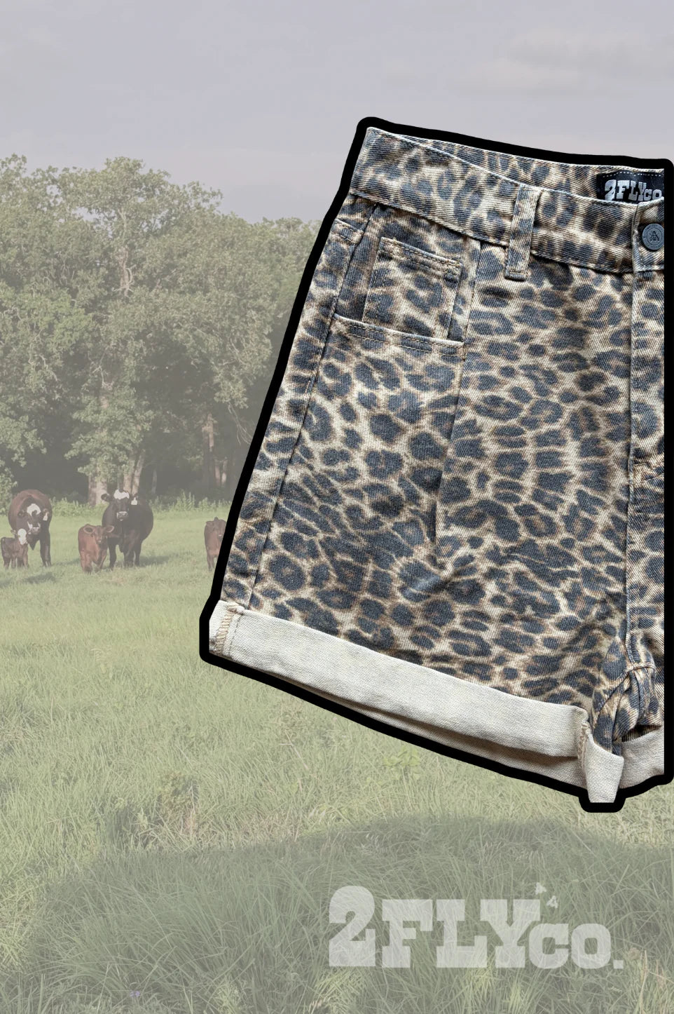 WILDCATTER SHORTS