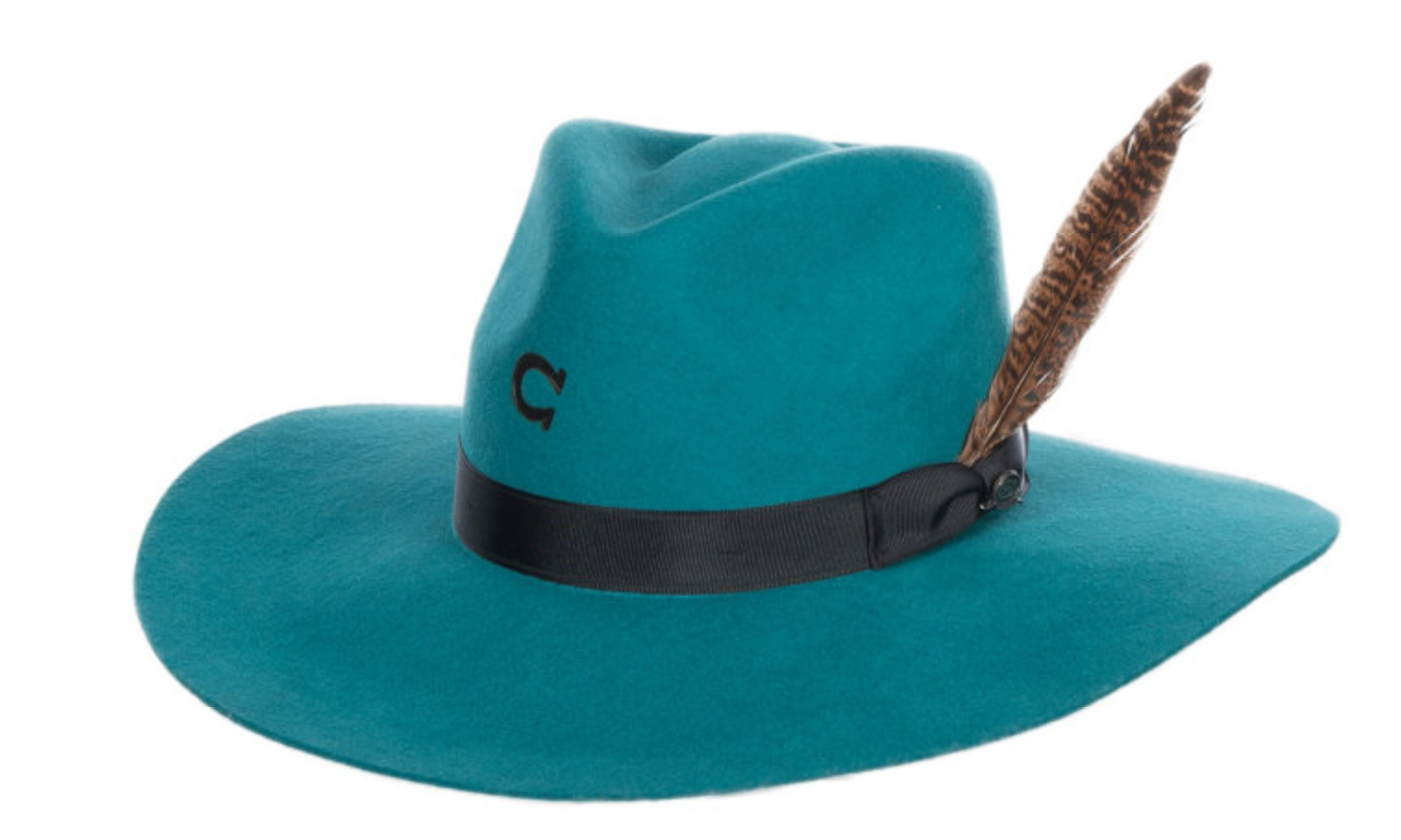 New Large Charlie 1 Horse Teal Highway newest hat