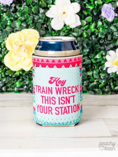 HEY TRAIN WRECK! THIS ISNT YOUR STATION REGULAR CAN